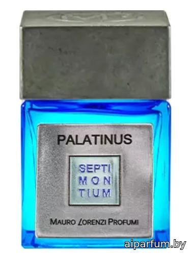 Palatinus