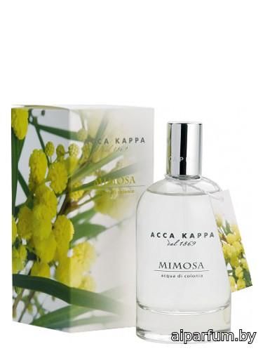 Mimosa