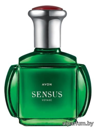 Sensus Voyage