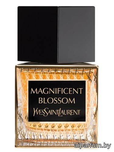 Magnificent Blossom