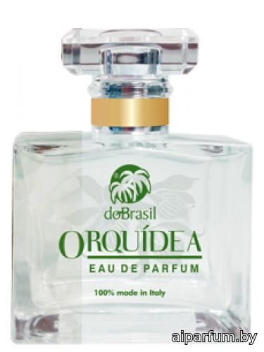 Orquídea