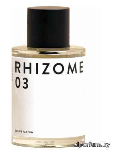 Rhizome 03