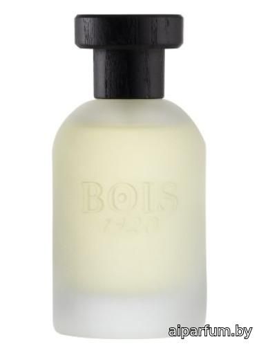 Vetiver Ambrato