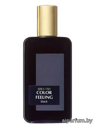Color Feeling Black