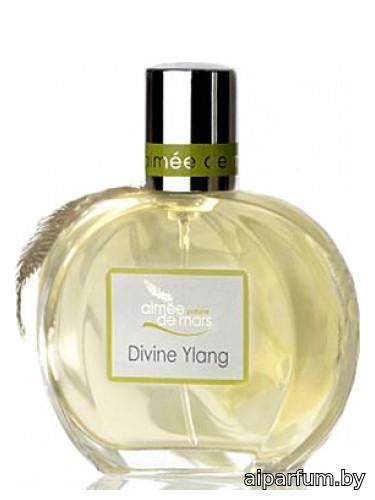 Divine Ylang 