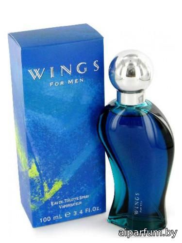 Wings for Men