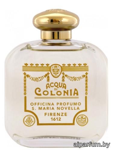 Gardenia