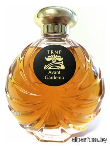 Avant Gardenia