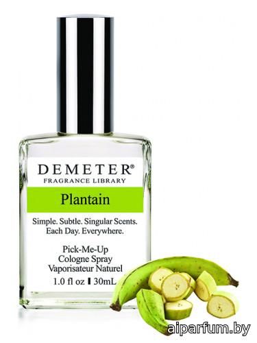 Plantain