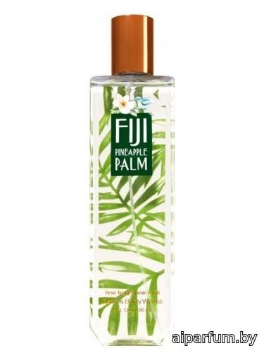 Fiji Pineapple Palm