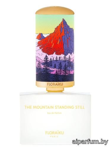 The Mountain Standing Still