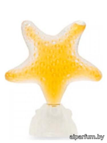 Star Sensual Amber