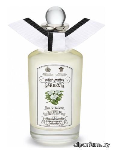 Gardenia