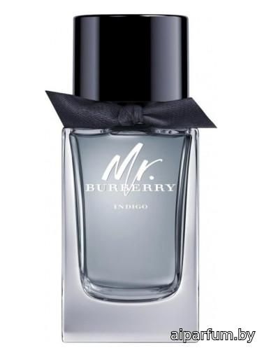 Mr. Burberry Indigo