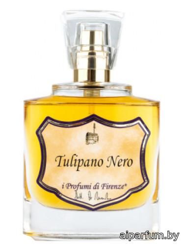 Tulipano Nero