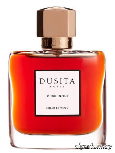 Oudh Infini