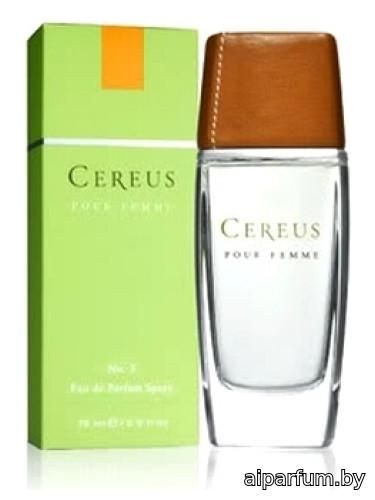Cereus No.3