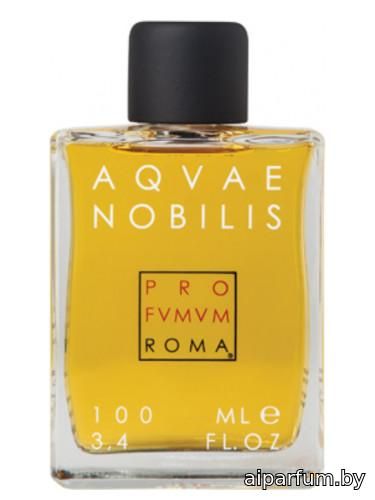 Aquae Nobilis