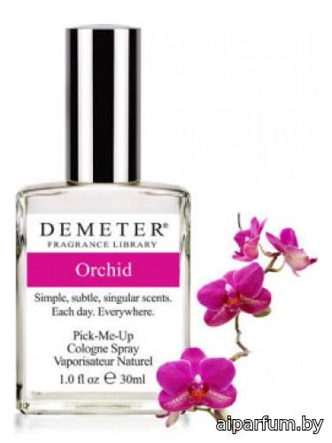 Orchid