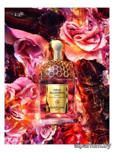 Aqua Allegoria Forte Rosa Palissandro