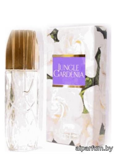 Jungle Gardenia