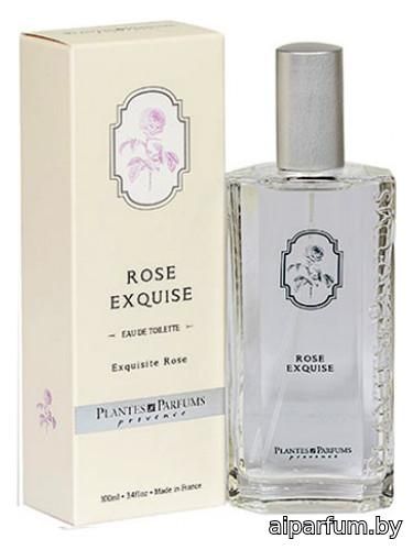Rose Exquise