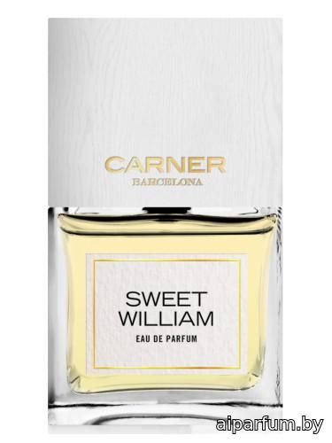 Sweet William