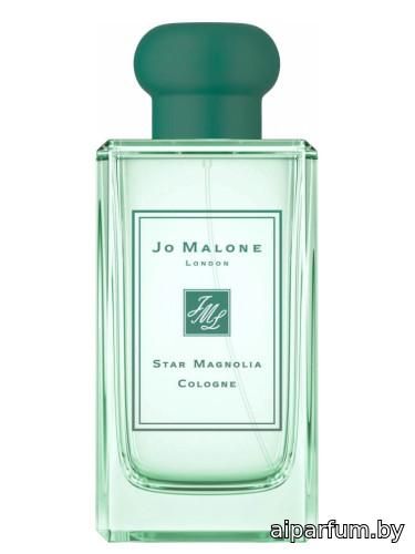 Star Magnolia Cologne (2019)