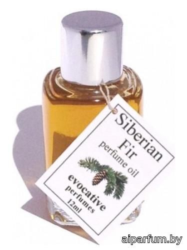 Siberian Fir