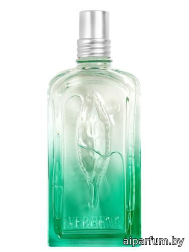 Verveine Fleur de Carotte