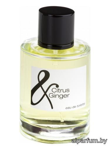 Citrus & Ginger