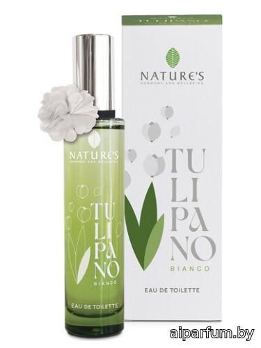 Tulipano Bianco