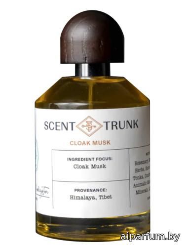 Cloak Musk