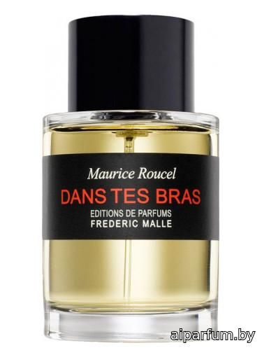 Dans Tes Bras
