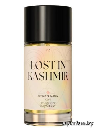 Lost In Kashmir