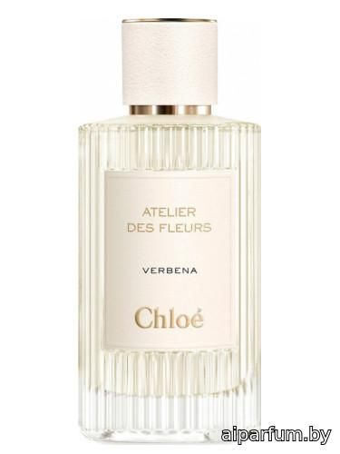 Verbena