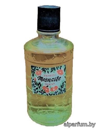 Mežrozīte (Шиповник)