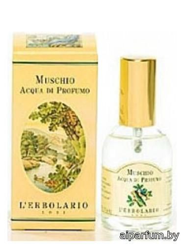 Muschio