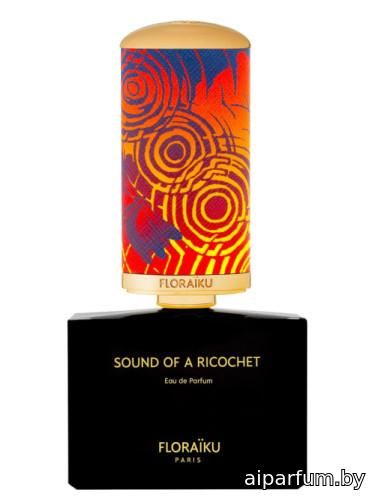 Sound of a Ricochet