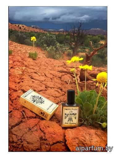 Desert Thunderstorm