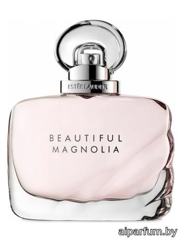 Beautiful Magnolia