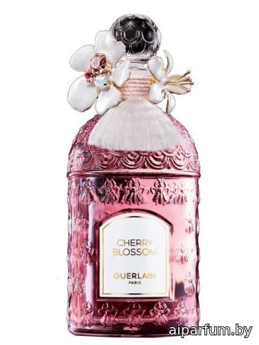 Cherry Blossom Millésime 2024