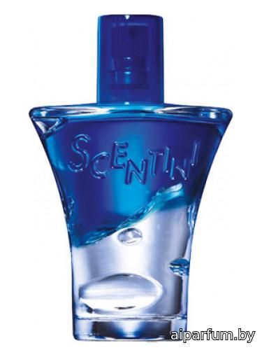 Scentini Nights Midnight Glow