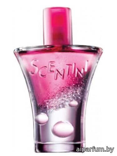 Scentini Rose Fizz