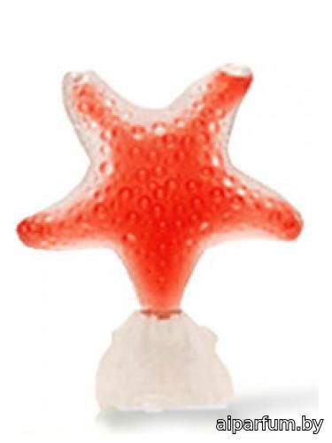 Star Red Pasion