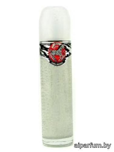 Cuba Strass Zebra