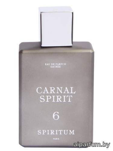 6 Carnal Spirit