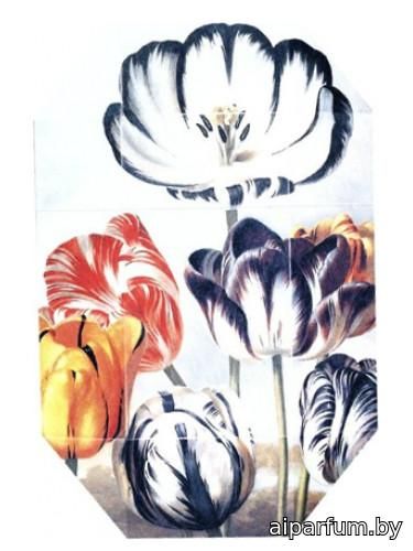 Print Collection Stella 02 (2011)