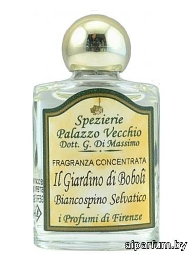 Il Giardino Di Boboli