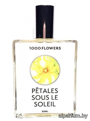 Pêtales Sous Le Soleil